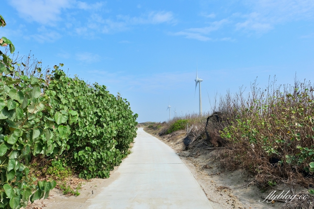 苗栗後龍｜海角樂園．後龍必遊IG打卡秘境，七彩彩虹和平地小天池，6月~9月天人菊花季最美 @飛天璇的口袋
