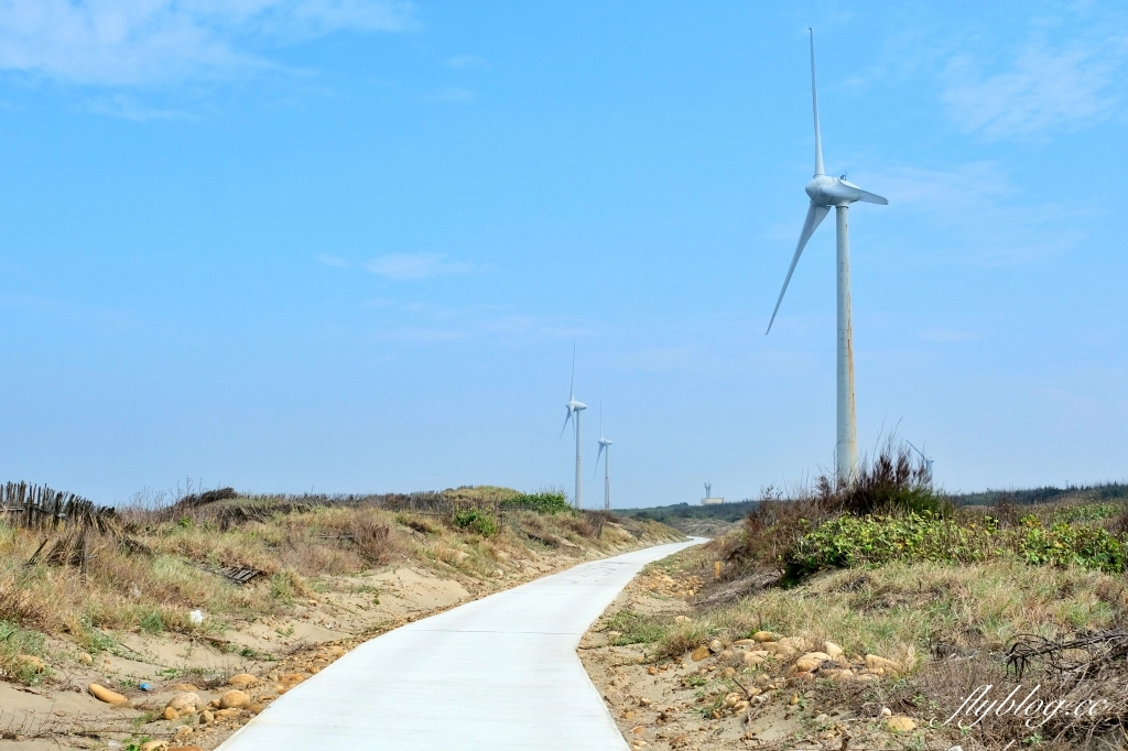 苗栗後龍｜海角樂園．後龍必遊IG打卡秘境，七彩彩虹和平地小天池，6月~9月天人菊花季最美 @飛天璇的口袋