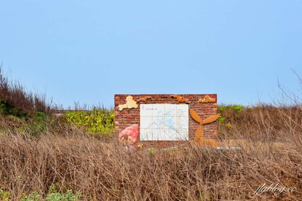 苗栗後龍｜海角樂園．後龍必遊IG打卡秘境，七彩彩虹和平地小天池，6月~9月天人菊花季最美 @飛天璇的口袋