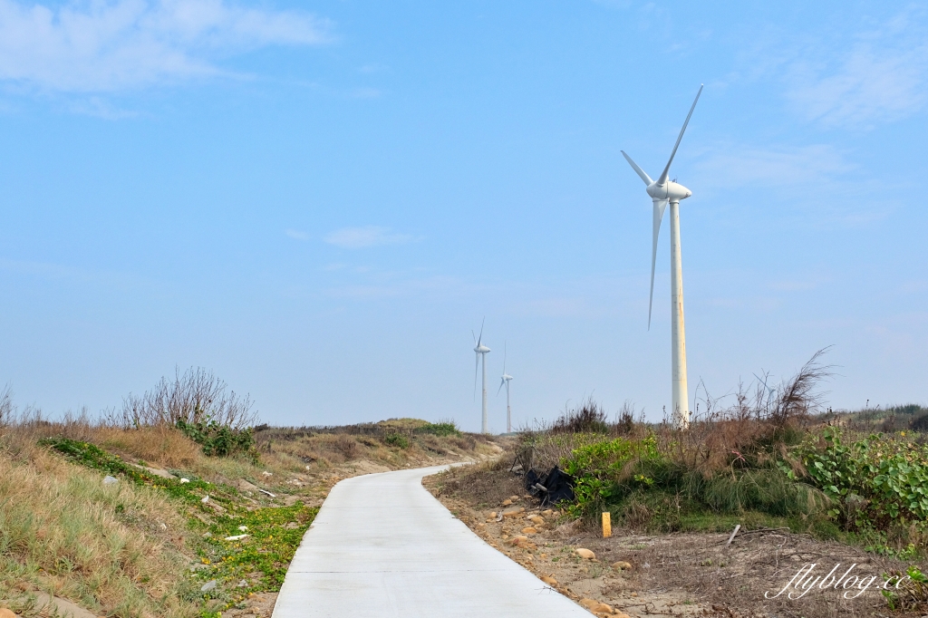 苗栗後龍｜海角樂園．後龍必遊IG打卡秘境，七彩彩虹和平地小天池，6月~9月天人菊花季最美 @飛天璇的口袋