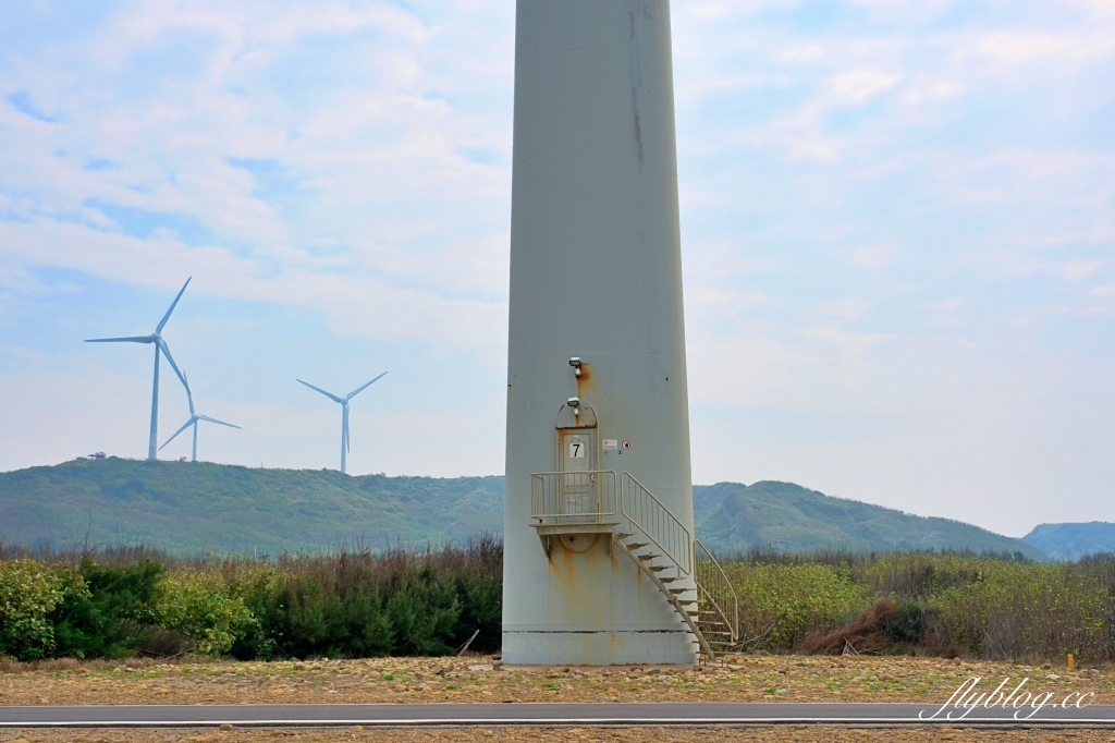 苗栗後龍｜海角樂園．後龍必遊IG打卡秘境，七彩彩虹和平地小天池，6月~9月天人菊花季最美 @飛天璇的口袋