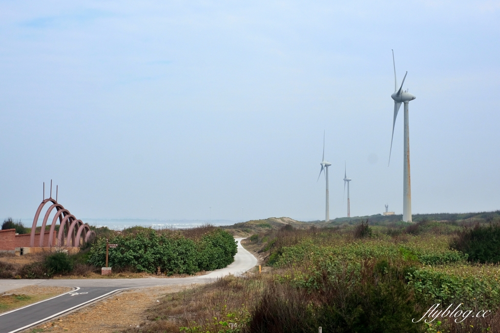 苗栗後龍｜海角樂園．後龍必遊IG打卡秘境，七彩彩虹和平地小天池，6月~9月天人菊花季最美 @飛天璇的口袋