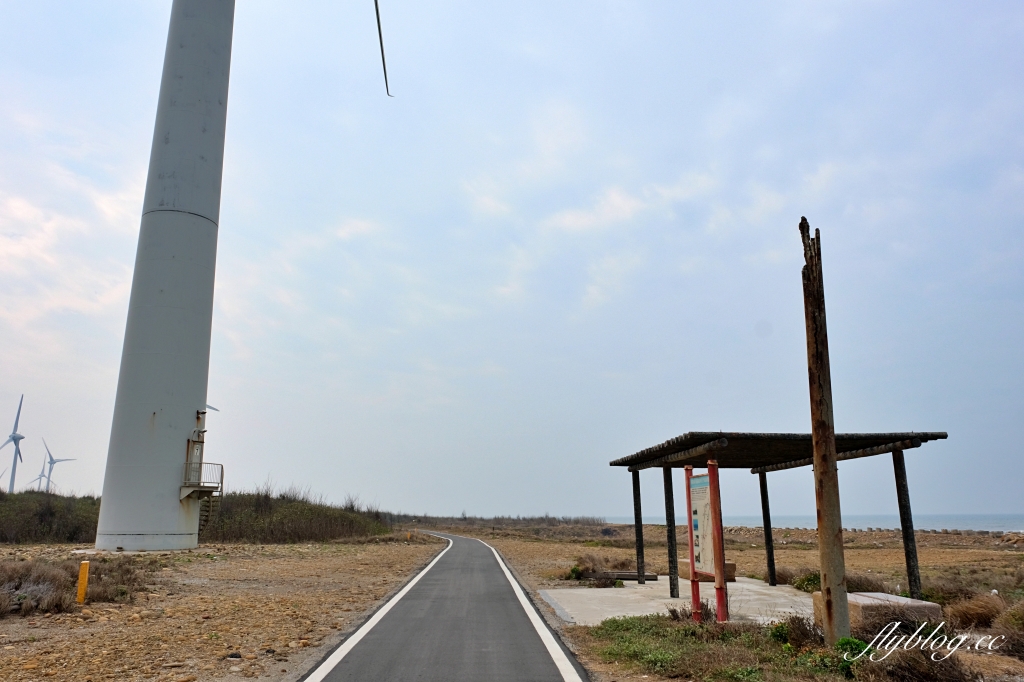 苗栗後龍｜海角樂園．後龍必遊IG打卡秘境，七彩彩虹和平地小天池，6月~9月天人菊花季最美 @飛天璇的口袋