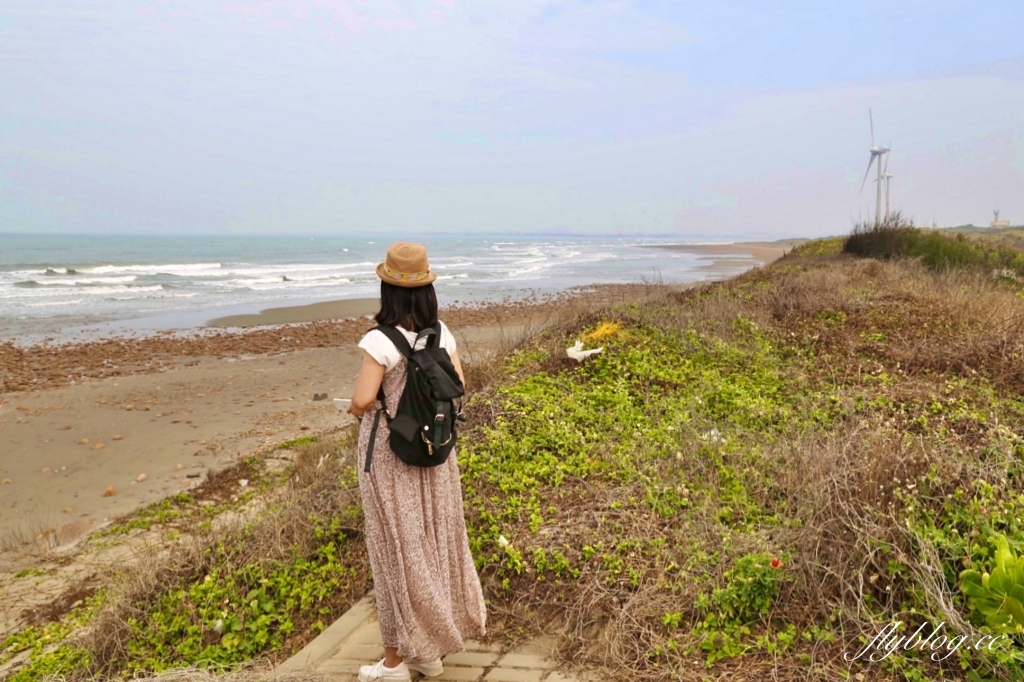 苗栗後龍｜海角樂園．後龍必遊IG打卡秘境，七彩彩虹和平地小天池，6月~9月天人菊花季最美 @飛天璇的口袋