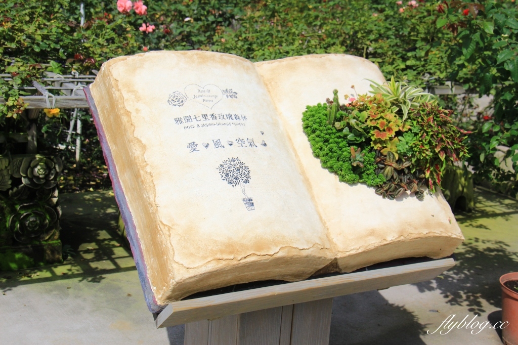 苗栗旅遊|苗栗2天1夜旅行|大湖 x 頭屋|漫遊苗栗山城,採草莓、泡溫泉、走景點 @飛天璇的口袋 苗栗旅遊|苗栗2天1夜旅行|大湖 x 頭屋|漫遊苗栗山城,採草莓、泡溫泉、走景點 @飛天璇的口袋