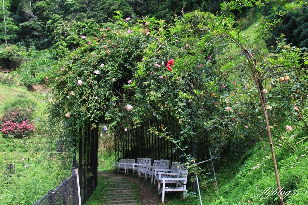 苗栗旅遊|苗栗2天1夜旅行|大湖 x 頭屋|漫遊苗栗山城,採草莓、泡溫泉、走景點 @飛天璇的口袋 苗栗旅遊|苗栗2天1夜旅行|大湖 x 頭屋|漫遊苗栗山城,採草莓、泡溫泉、走景點 @飛天璇的口袋