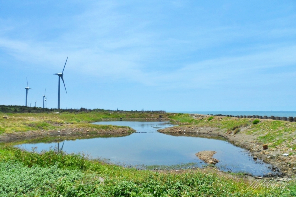 苗栗後龍｜海角樂園．後龍必遊IG打卡秘境，七彩彩虹和平地小天池，6月~9月天人菊花季最美 @飛天璇的口袋