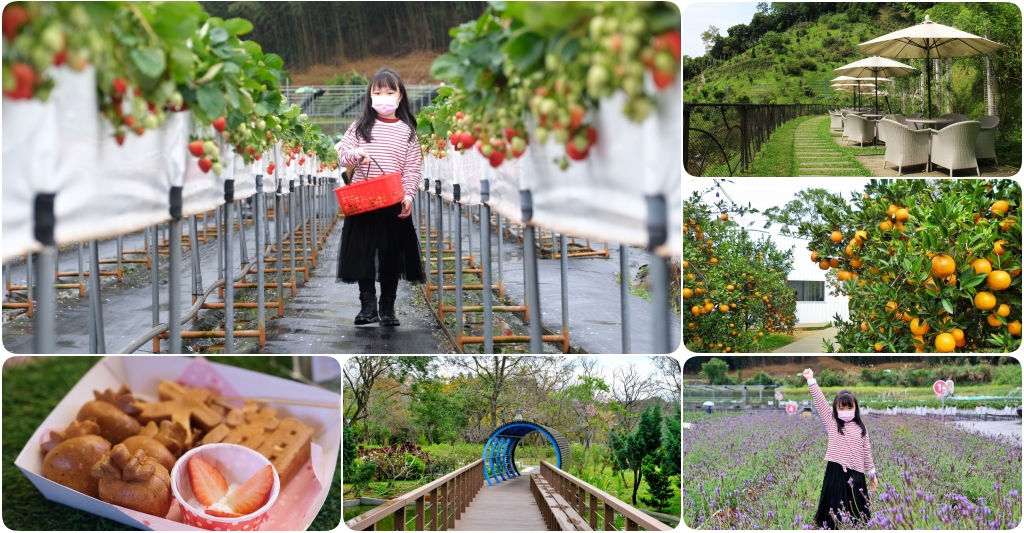 苗栗旅遊|苗栗2天1夜旅行|大湖 x 頭屋|漫遊苗栗山城,採草莓、泡溫泉、走景點 @飛天璇的口袋 苗栗旅遊|苗栗2天1夜旅行|大湖 x 頭屋|漫遊苗栗山城,採草莓、泡溫泉、走景點 @飛天璇的口袋