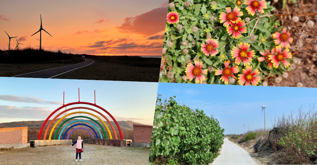 苗栗後龍｜海角樂園．後龍必遊IG打卡秘境，七彩彩虹和平地小天池，6月~9月天人菊花季最美 @飛天璇的口袋