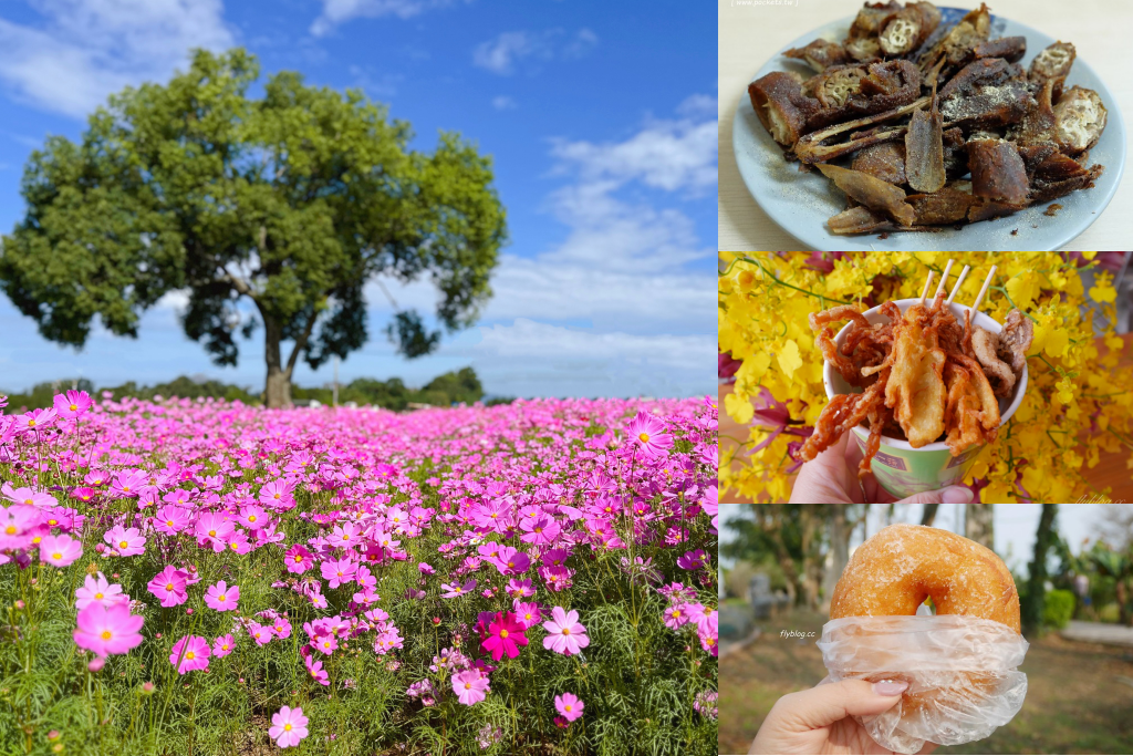 台中新社｜新社花海一日遊．漫遊台中後花園，美食景點住宿 @飛天璇的口袋