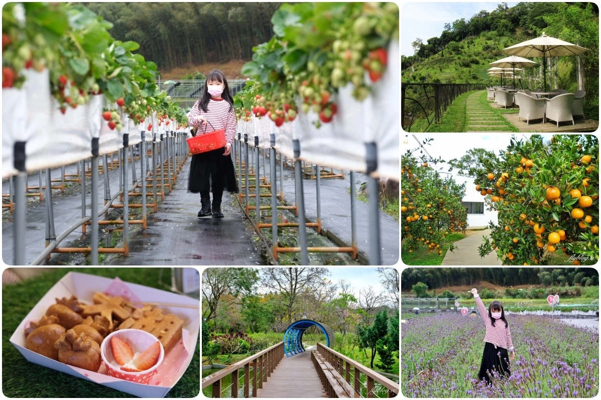 苗栗旅遊｜苗栗2天1夜旅行｜大湖 x 頭屋｜漫遊苗栗山城，採草莓、泡溫泉、走景點 @飛天璇的口袋