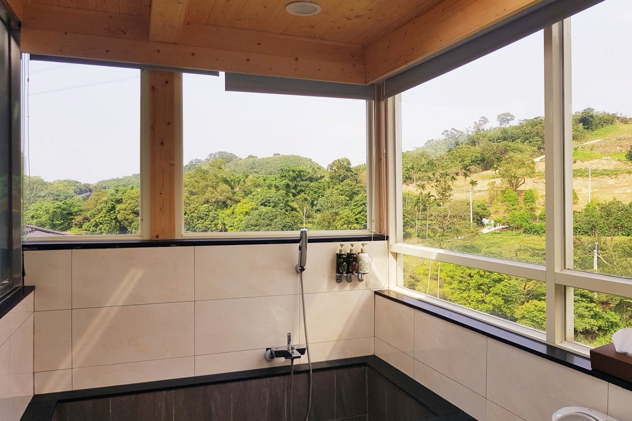 苗栗頭屋|慕雲想莊園,超美星光房宿,享受落羽松森林、心型沙坑、浪漫晚餐 @飛天璇的口袋 苗栗頭屋|慕雲想莊園,超美星光房宿,享受落羽松森林、心型沙坑、浪漫晚餐 @飛天璇的口袋