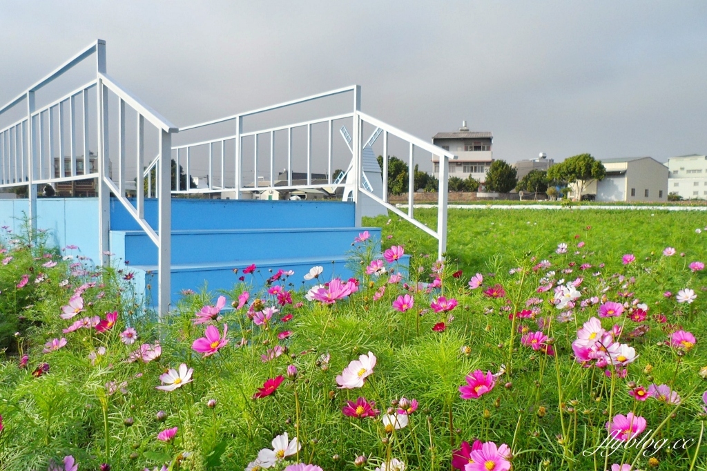 廣福花海｜一期一會的西屯花海，春節走春的好去處！ @飛天璇的口袋