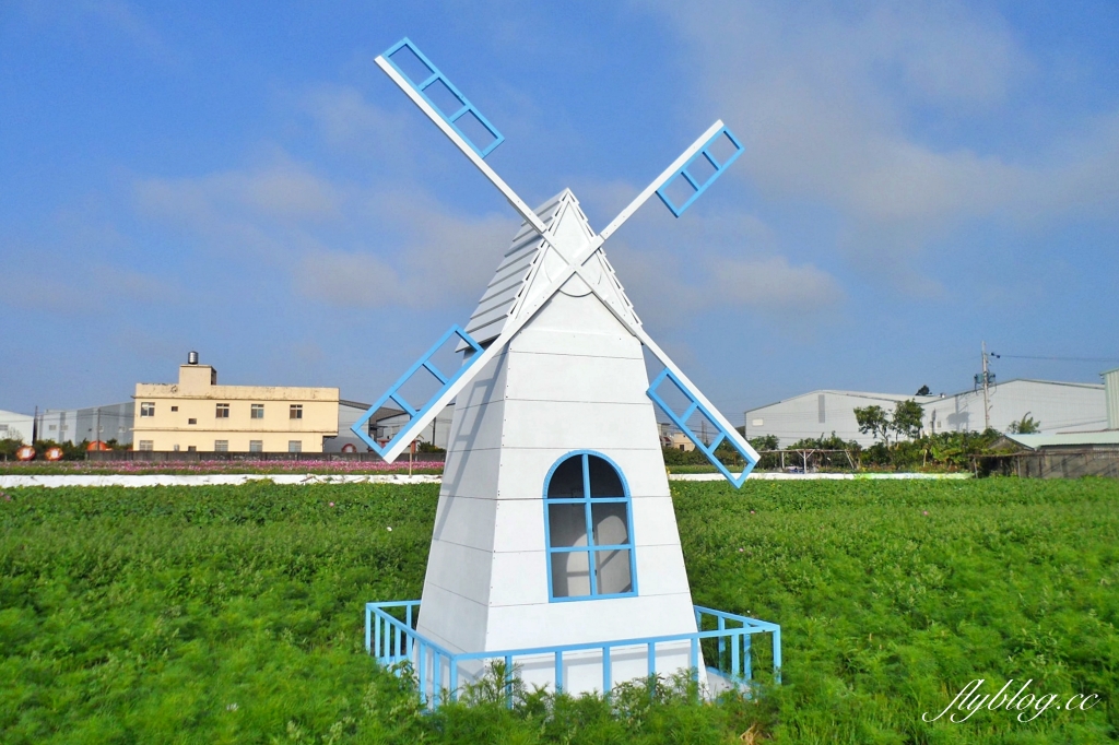 廣福花海｜一期一會的西屯花海，春節走春的好去處！ @飛天璇的口袋