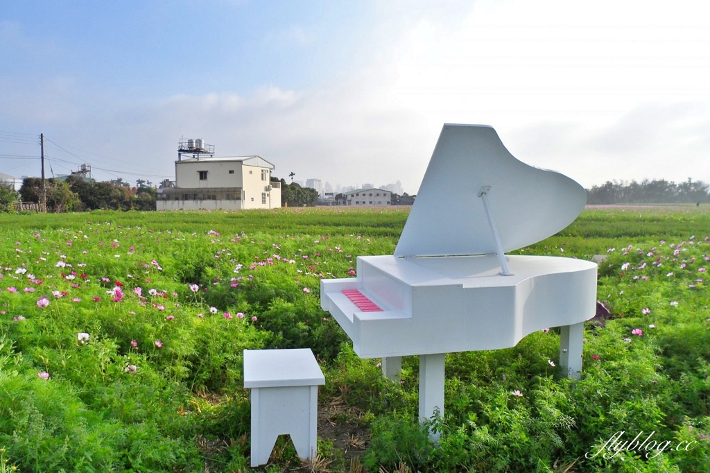 廣福花海｜一期一會的西屯花海，春節走春的好去處！ @飛天璇的口袋