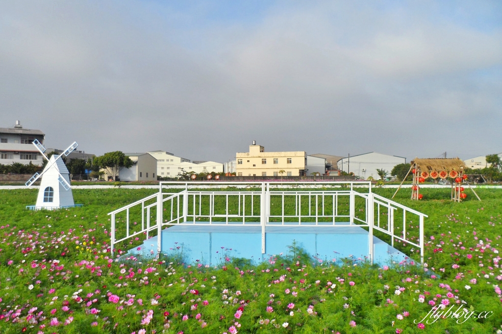 廣福花海｜一期一會的西屯花海，春節走春的好去處！ @飛天璇的口袋