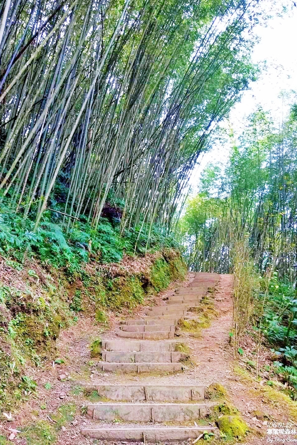 嘉義梅山｜寒溪呢森林人文叡地．TWICE周子瑜打卡的賞櫻秘境，聖塔山群峰下的雪白桃花源 @飛天璇的口袋