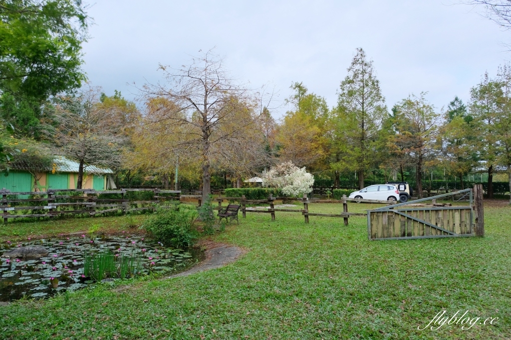 花蓮壽豐｜鷺鷥咖啡Lucy Coffee，充滿異國風情的歐式戶外花園，還有可愛又夢幻的精靈小木屋 @飛天璇的口袋