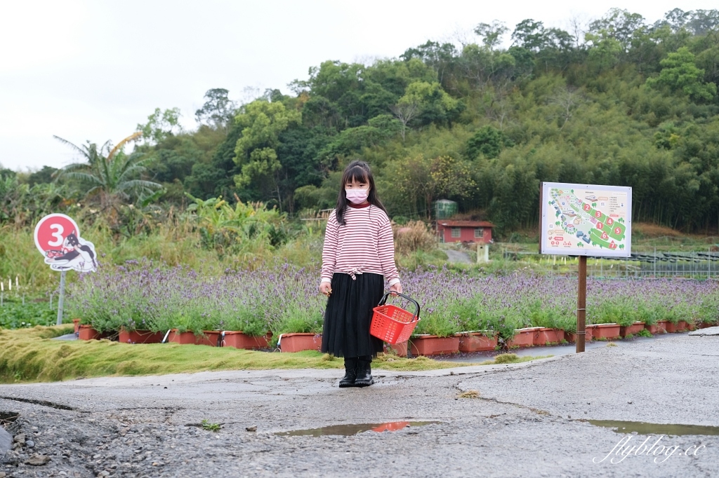 紅色琉璃瓦 SUHU Café |大湖最新景點紅色琉璃瓦草莓園,結合採果、美食、伴手禮 @飛天璇的口袋 紅色琉璃瓦 SUHU Café |大湖最新景點紅色琉璃瓦草莓園,結合採果、美食、伴手禮 @飛天璇的口袋