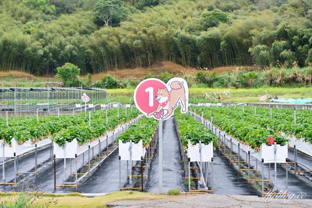 紅色琉璃瓦 SUHU Café |大湖最新景點紅色琉璃瓦草莓園,結合採果、美食、伴手禮 @飛天璇的口袋 紅色琉璃瓦 SUHU Café |大湖最新景點紅色琉璃瓦草莓園,結合採果、美食、伴手禮 @飛天璇的口袋