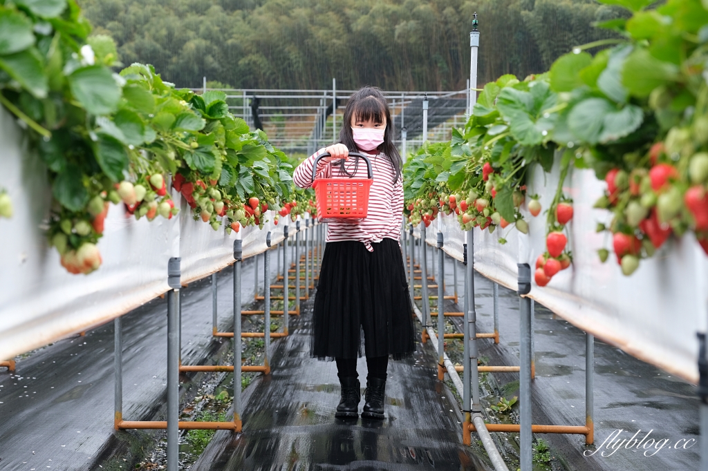 苗栗旅遊|2023苗栗旅遊景點|苗栗一日遊行程推薦,景觀餐廳、自然美景、四季花卉、親子旅遊 @飛天璇的口袋 苗栗旅遊|2023苗栗旅遊景點|苗栗一日遊行程推薦,景觀餐廳、自然美景、四季花卉、親子旅遊 @飛天璇的口袋