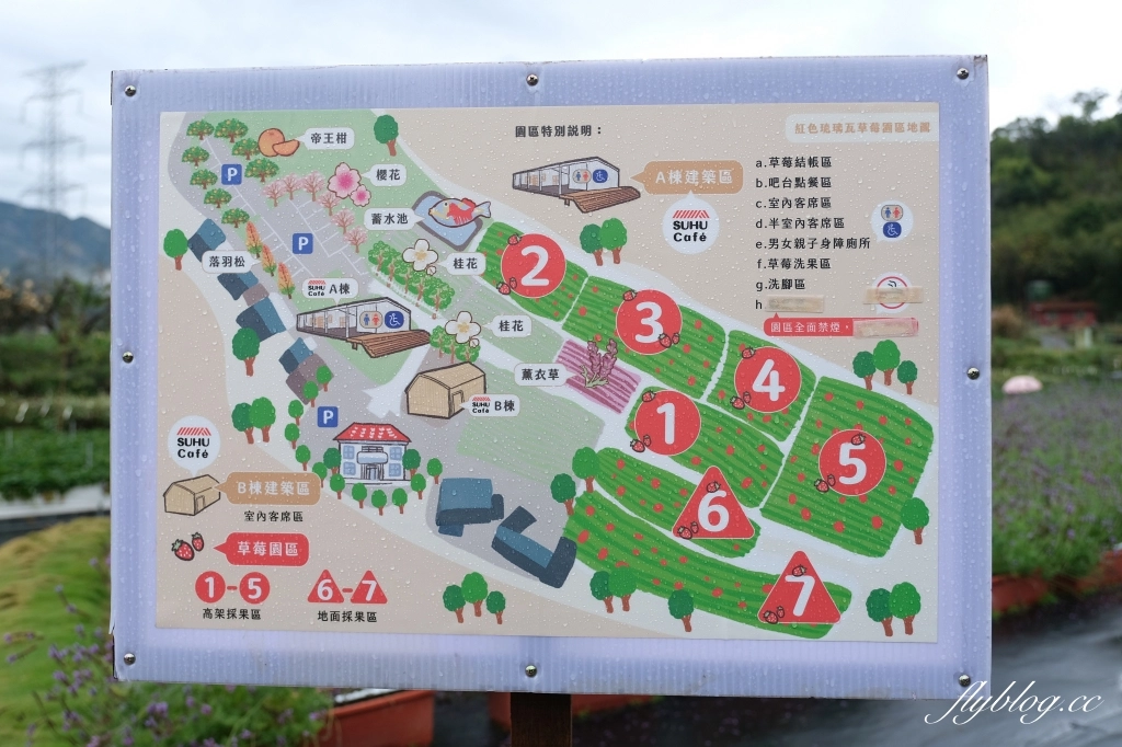 紅色琉璃瓦 SUHU Café |大湖最新景點紅色琉璃瓦草莓園,結合採果、美食、伴手禮 @飛天璇的口袋 紅色琉璃瓦 SUHU Café |大湖最新景點紅色琉璃瓦草莓園,結合採果、美食、伴手禮 @飛天璇的口袋