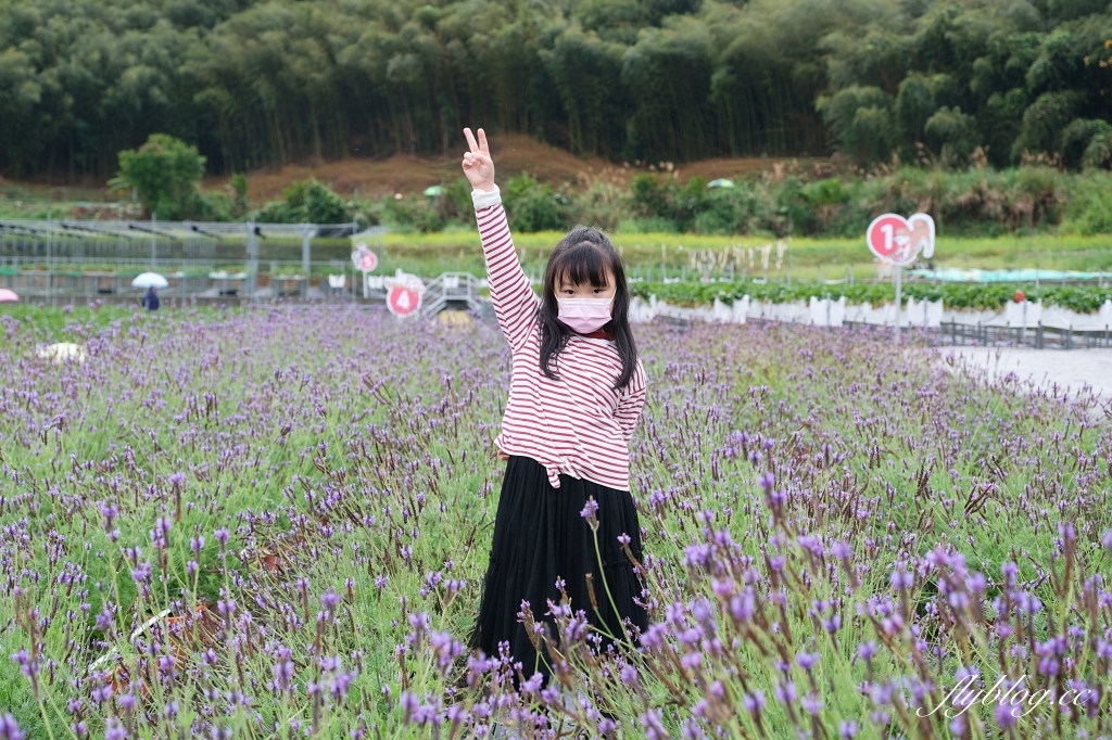 紅色琉璃瓦 SUHU Café |大湖最新景點紅色琉璃瓦草莓園,結合採果、美食、伴手禮 @飛天璇的口袋 紅色琉璃瓦 SUHU Café |大湖最新景點紅色琉璃瓦草莓園,結合採果、美食、伴手禮 @飛天璇的口袋