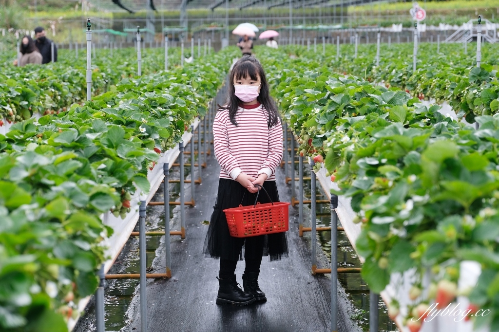 紅色琉璃瓦 SUHU Café |大湖最新景點紅色琉璃瓦草莓園,結合採果、美食、伴手禮 @飛天璇的口袋 紅色琉璃瓦 SUHU Café |大湖最新景點紅色琉璃瓦草莓園,結合採果、美食、伴手禮 @飛天璇的口袋
