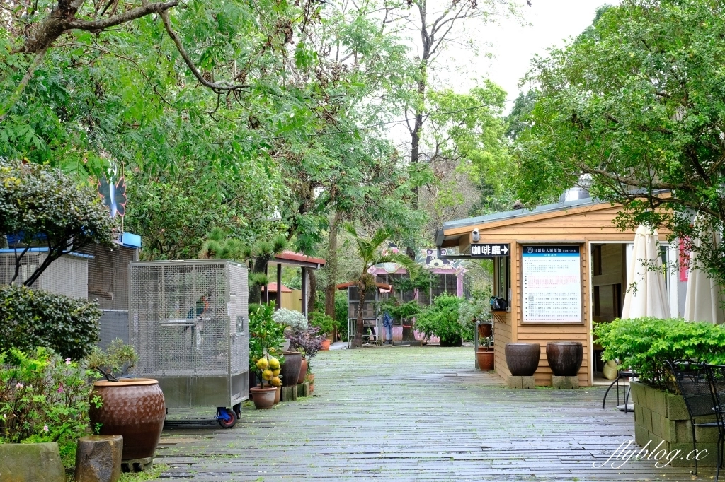 苗栗頭屋｜明德水庫日新島．電影魯水花的拍攝地，全台唯一的湖中島嶼 @飛天璇的口袋