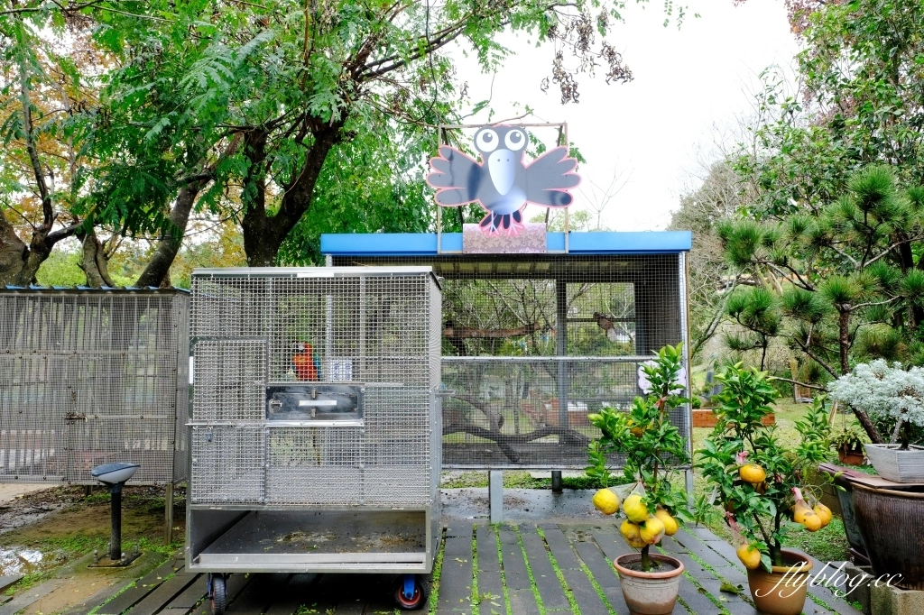 苗栗頭屋｜明德水庫日新島．電影魯水花的拍攝地，全台唯一的湖中島嶼 @飛天璇的口袋