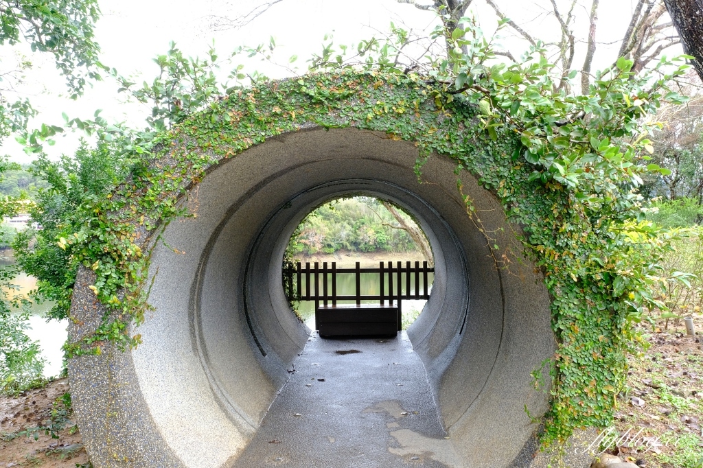 苗栗頭屋｜明德水庫日新島．電影魯水花的拍攝地，全台唯一的湖中島嶼 @飛天璇的口袋