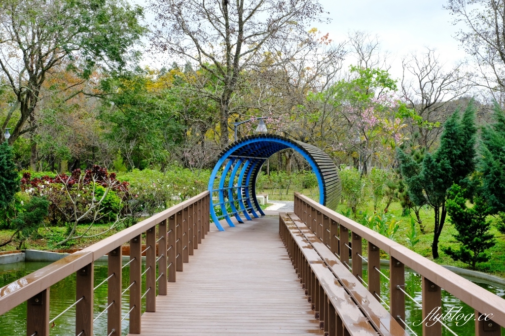 苗栗頭屋｜明德水庫日新島．電影魯水花的拍攝地，全台唯一的湖中島嶼 @飛天璇的口袋