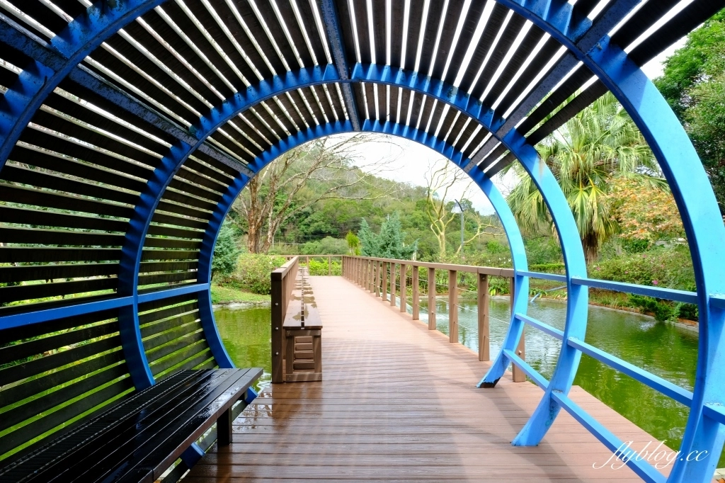 苗栗頭屋｜明德水庫日新島．電影魯水花的拍攝地，全台唯一的湖中島嶼 @飛天璇的口袋