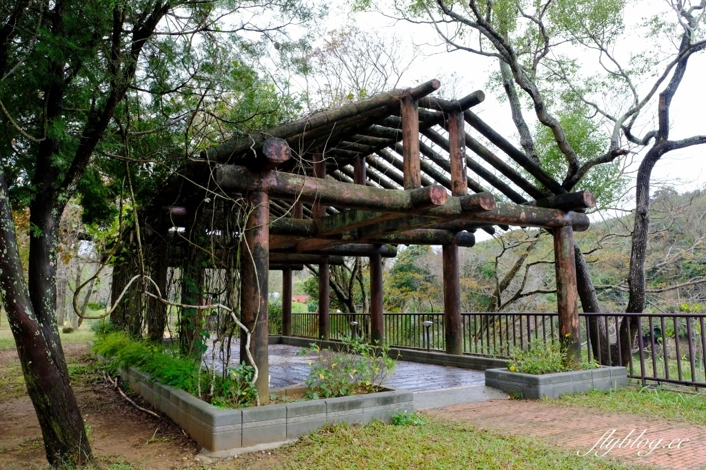 苗栗頭屋｜明德水庫日新島．電影魯水花的拍攝地，全台唯一的湖中島嶼 @飛天璇的口袋