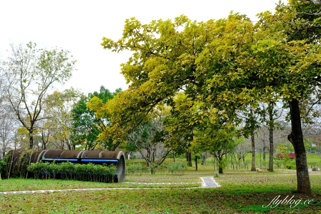 苗栗頭屋｜明德水庫日新島．電影魯水花的拍攝地，全台唯一的湖中島嶼 @飛天璇的口袋