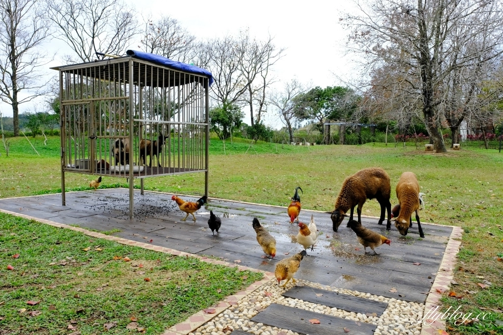 苗栗頭屋｜明德水庫日新島．電影魯水花的拍攝地，全台唯一的湖中島嶼 @飛天璇的口袋
