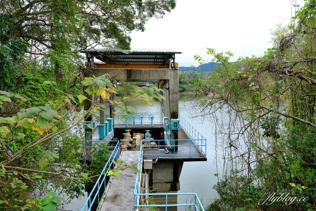 苗栗頭屋｜明德水庫日新島．電影魯水花的拍攝地，全台唯一的湖中島嶼 @飛天璇的口袋