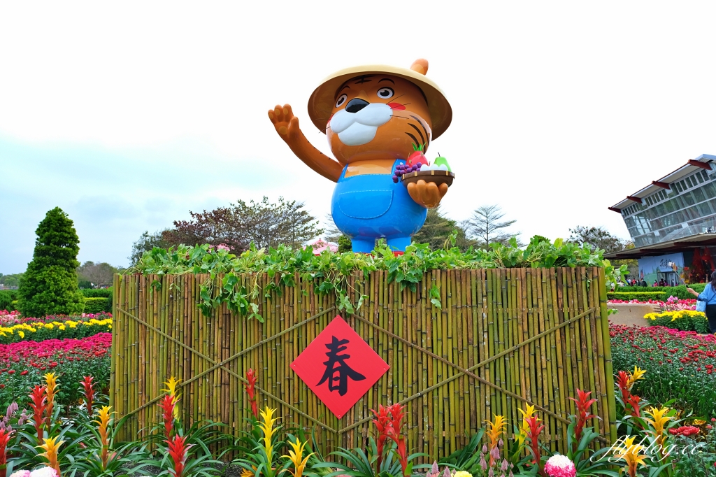 【彰化溪洲】溪州公園~2022花在彰化，樂遊農園2/1~2/13登場，還有免費送小燈籠 @飛天璇的口袋