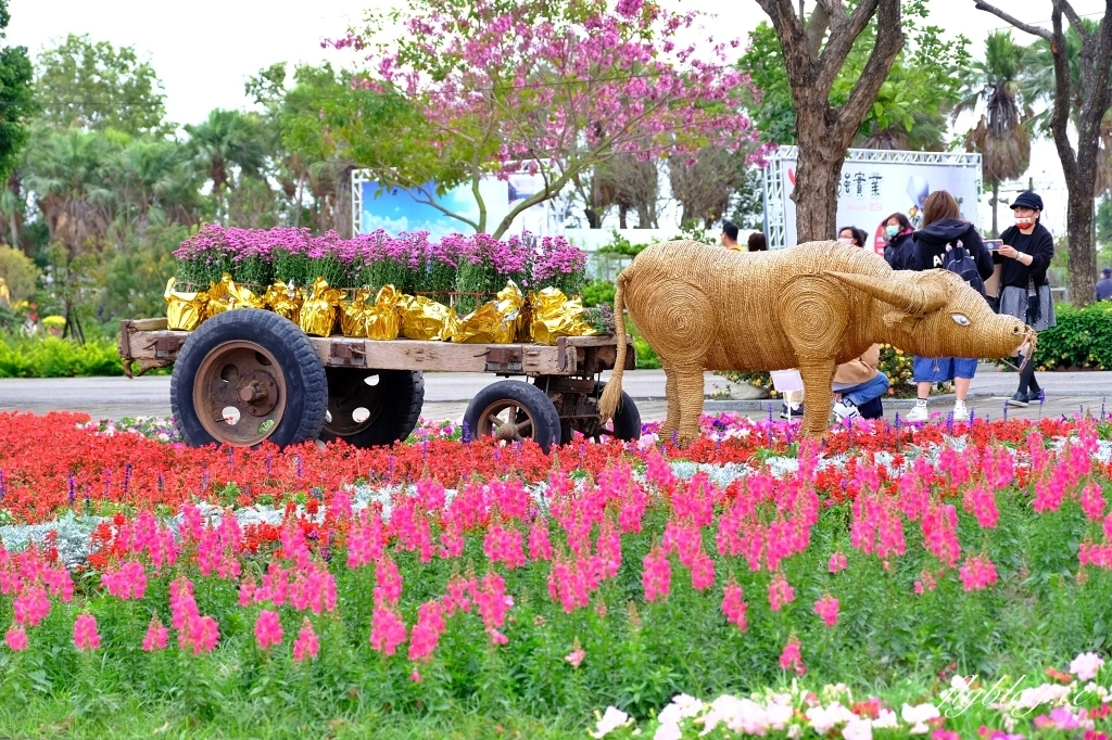 【彰化溪洲】溪州公園~2022花在彰化，樂遊農園2/1~2/13登場，還有免費送小燈籠 @飛天璇的口袋