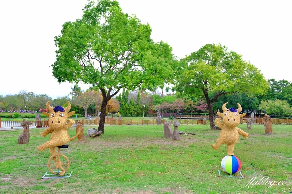 【彰化溪洲】溪州公園~2022花在彰化，樂遊農園2/1~2/13登場，還有免費送小燈籠 @飛天璇的口袋