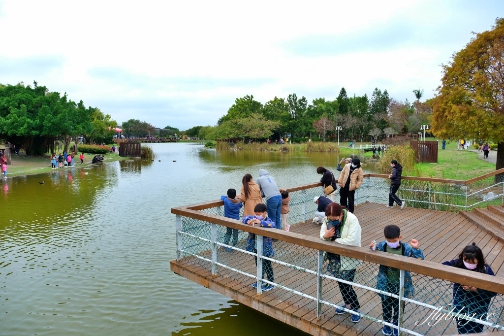 溪州公園｜2023花在彰化，進入愛麗絲夢遊仙境的童話世界 @飛天璇的口袋