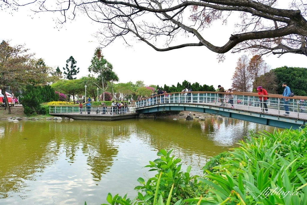 溪州公園｜2023花在彰化，進入愛麗絲夢遊仙境的童話世界 @飛天璇的口袋