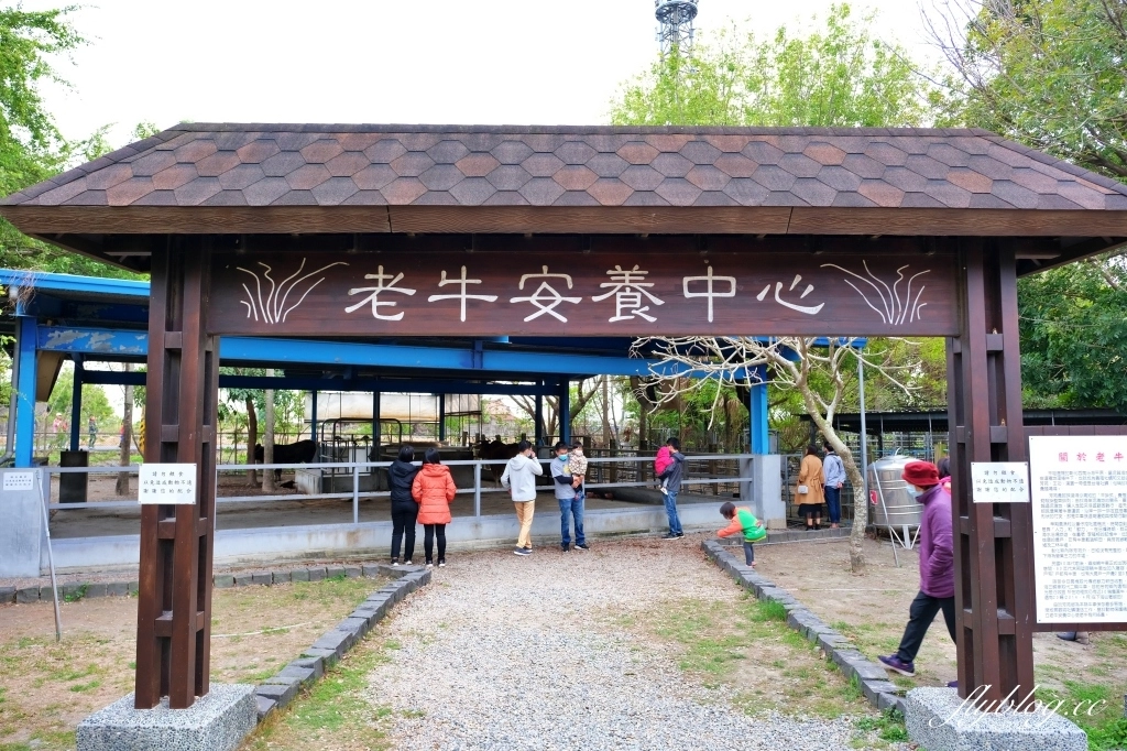 溪州公園｜2023花在彰化，進入愛麗絲夢遊仙境的童話世界 @飛天璇的口袋