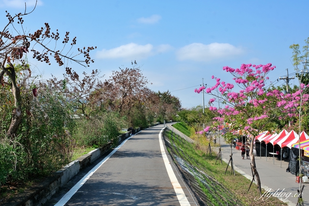 【南投旅遊】2022南投燈會，可愛的嘟嘟小火車，穿梭浪漫南投花海，期間限定無人機煙火秀 @飛天璇的口袋