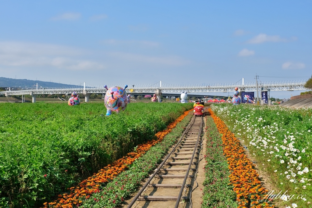 【南投旅遊】2022南投燈會，可愛的嘟嘟小火車，穿梭浪漫南投花海，期間限定無人機煙火秀 @飛天璇的口袋
