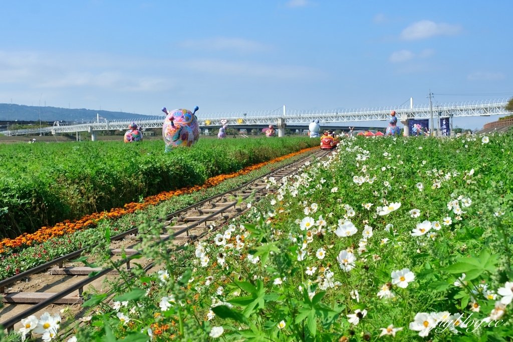 【南投旅遊】2022南投燈會，可愛的嘟嘟小火車，穿梭浪漫南投花海，期間限定無人機煙火秀 @飛天璇的口袋