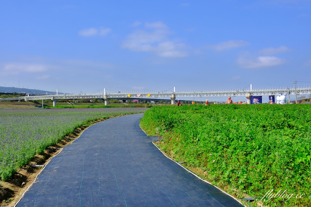 【南投旅遊】2022南投燈會，可愛的嘟嘟小火車，穿梭浪漫南投花海，期間限定無人機煙火秀 @飛天璇的口袋