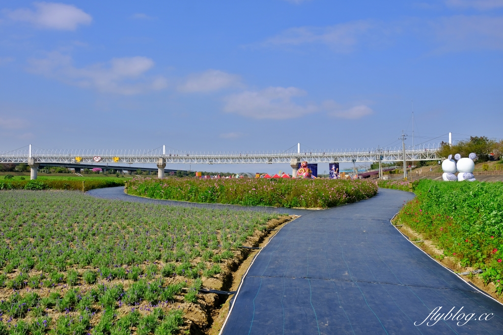 【南投旅遊】2022南投燈會，可愛的嘟嘟小火車，穿梭浪漫南投花海，期間限定無人機煙火秀 @飛天璇的口袋