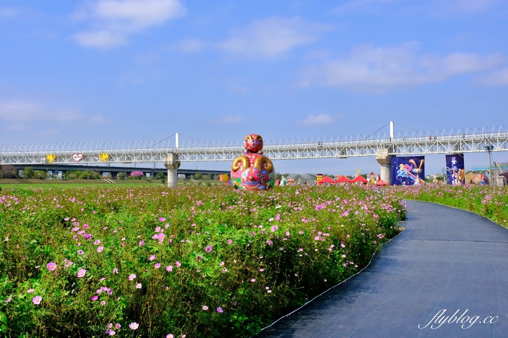【南投旅遊】2022南投燈會，可愛的嘟嘟小火車，穿梭浪漫南投花海，期間限定無人機煙火秀 @飛天璇的口袋