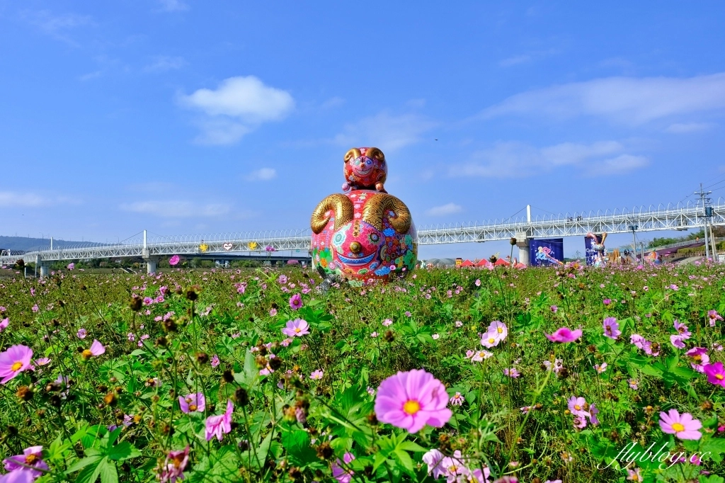 【南投旅遊】2022南投燈會，可愛的嘟嘟小火車，穿梭浪漫南投花海，期間限定無人機煙火秀 @飛天璇的口袋